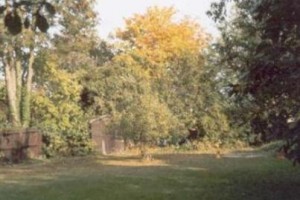 Abbeyfield Guest House Cambridge Image