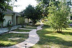 Acacias Image