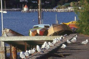 Akaroa Criterion Motel Image