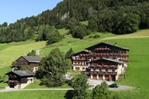Alpengasthof Stiegernigg voted 5th best hotel in Viehhofen