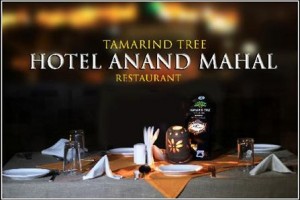 Anand Mahal Hotel Image