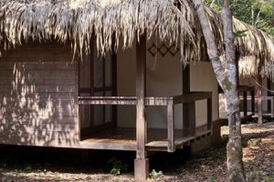 Anavilhanas Jungle Lodge Image