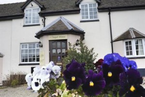 Angel House Bed and Breakfast Ludlow (England) Image