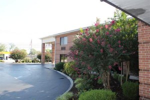 BEST WESTERN Plus Celebration Inn & Suites voted  best hotel in Shelbyville 