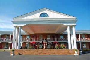 BEST WESTERN Green Tree Inn voted 3rd best hotel in Clarksville 