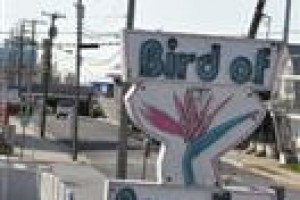 Bird of Paradise Motel voted 4th best hotel in North Wildwood