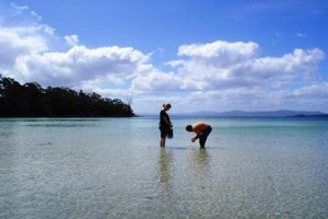 Bruny Island Escapes voted  best hotel in Bruny Island