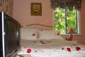 Cadboro Bay Bed & Breakfast Image