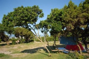 Camping Tonnara Image