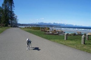Charm of Qualicum Bed and Breakfast Image