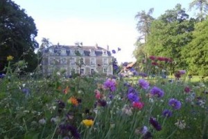 Chateau De Chanteloire Chouzy-sur-Cisse voted  best hotel in Chouzy-sur-Cisse