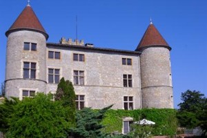 Chateau De Tanay voted  best hotel in Saint-Didier-de-Formans