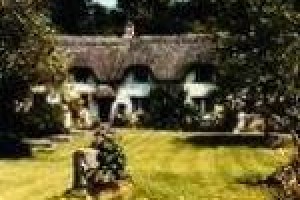 Cheney Thatch Bed and Breakfast Swindon Image