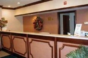 Comfort Inn Henderson (Kentucky) voted  best hotel in Henderson 