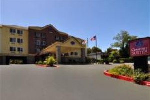 Comfort Suites Castro Valley voted  best hotel in Castro Valley