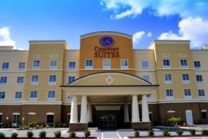 Comfort Suites Florence voted  best hotel in Florence 
