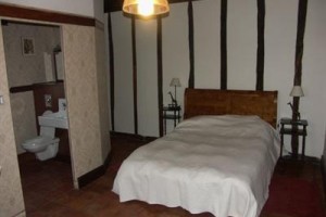 Courneigt Image