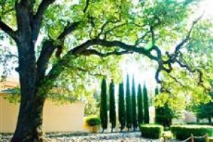 Courtyard by Marriott Sacramento Airport Natomas Image