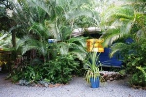 Daintree Escape voted 2nd best hotel in Daintree