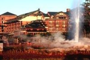 Disney's Wilderness Lodge voted 8th best hotel in Lake Buena Vista