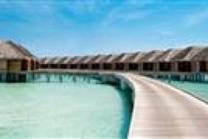 Diva Maldives voted 3rd best hotel in South Ari Atoll