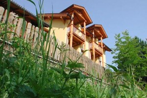 Familienhotel Platzer voted 4th best hotel in Gmund In Karnten