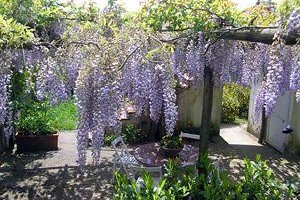 Fattoria Terranova Image