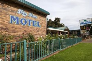 Fig Tree Motel Image