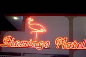 Flamingo Motel San Jose (California) Image