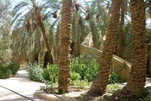 Ghaliet Ecologe & Spa voted 3rd best hotel in Siwa