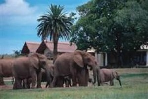 Gorah Elephant Camp Plettenberg Bay Image
