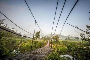 Grassroots Wayanad Image