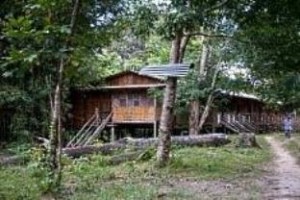 Gua Longhouse Chalet voted 9th best hotel in Miri