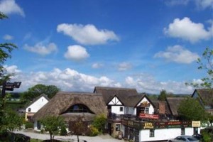 Guy's Thatched Hamlet Image