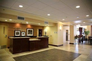 Hampton Inn & Suites Oakland Airport voted  best hotel in Alameda