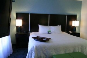 Hampton Inn & Suites Dallas/Lewisville-Vista Ridge Mall voted 10th best hotel in Lewisville