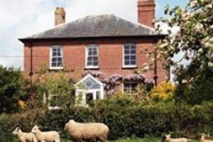 Higher Coombe Farm Bed and Breakfast Sidmouth Image