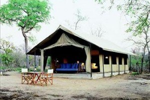 Honeyguide Tented Safari Camps Manyeleti Game Reserve Image