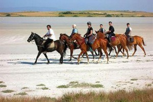 Horse Country Resort, Congress and Spa voted  best hotel in Arborea