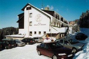 Hotel Diana Benecko Image