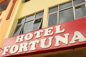 Hotel Fortuna Jambi Image
