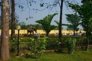 Hotel Rainforest Chitwan voted 8th best hotel in Chitwan