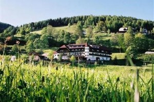 Hotel Stigenwirth voted  best hotel in Krakaudorf