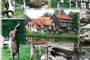 Hotel Zum Klosterfischer Blankenburg am Harz Image
