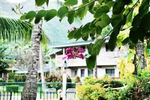 Kauai Inn Lihue voted 4th best hotel in Lihue
