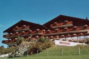 Hotel Le Grand Chalet Image
