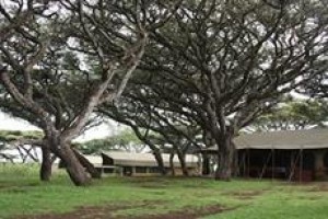 Lemala Ngorongoro Camp voted 2nd best hotel in Ngorongoro