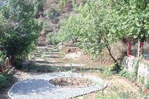 Manoram View Hotel Naukuchiatal Image