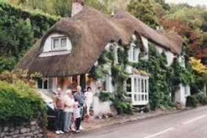 Mole Cottage Bed and Breakfast  Umberleigh Image