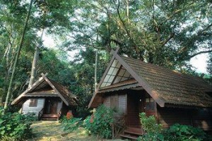 Mutiara Taman Negara voted  best hotel in Jerantut